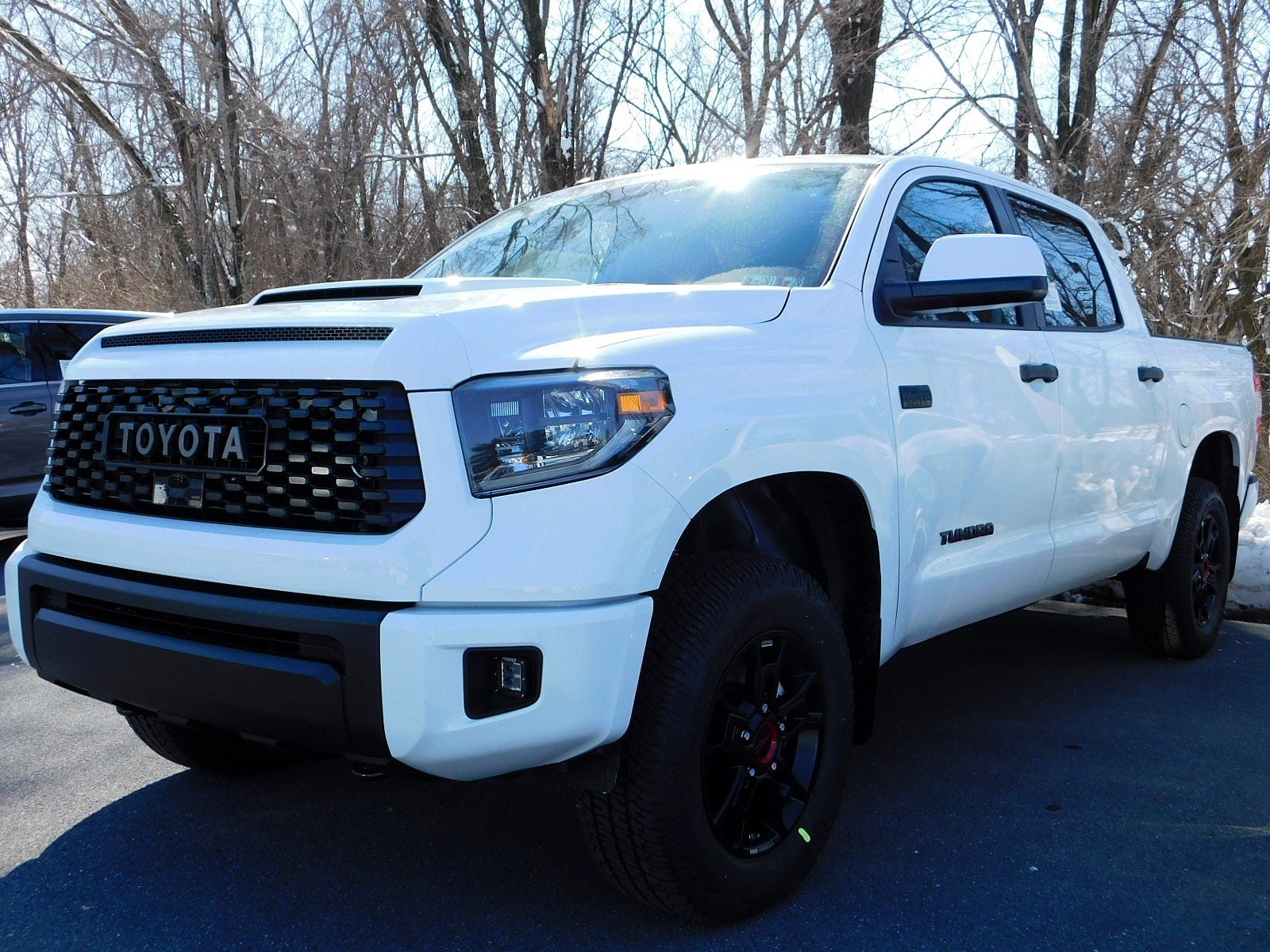 New 2019 Toyota Tundra TRD Pro CrewMax in East Petersburg #12275